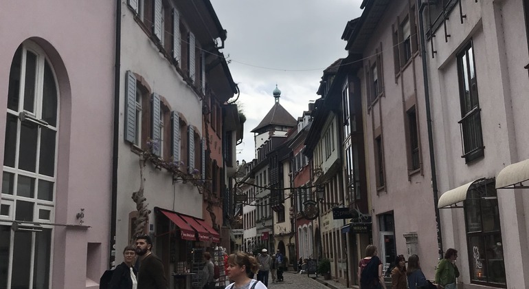 freiburg-walking-tour-history-and-regional-geology-es-4