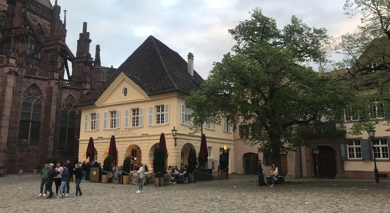 freiburg-walking-tour-history-and-regional-geology-es-2