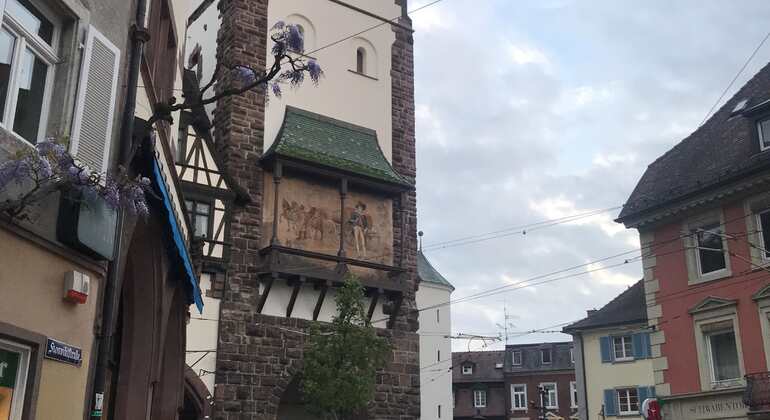 freiburg-walking-tour-history-and-regional-geology-es-3