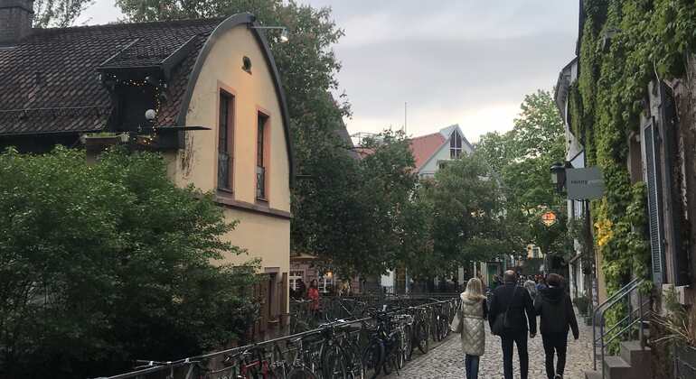 freiburg-walking-tour-history-and-regional-geology-es-7