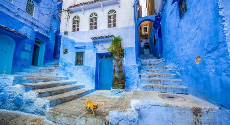 fes-to-chefchaouen-day-trip-en-2