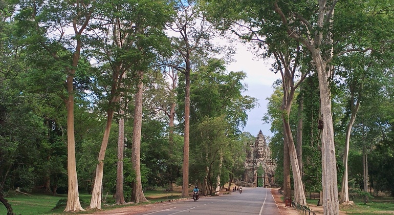 the-best-of-angkor-wat-angkor-thom-and-ta-prohm-temples-en-12