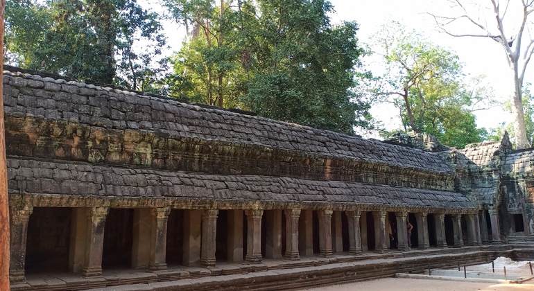 the-best-of-angkor-wat-angkor-thom-and-ta-prohm-temples-en-13