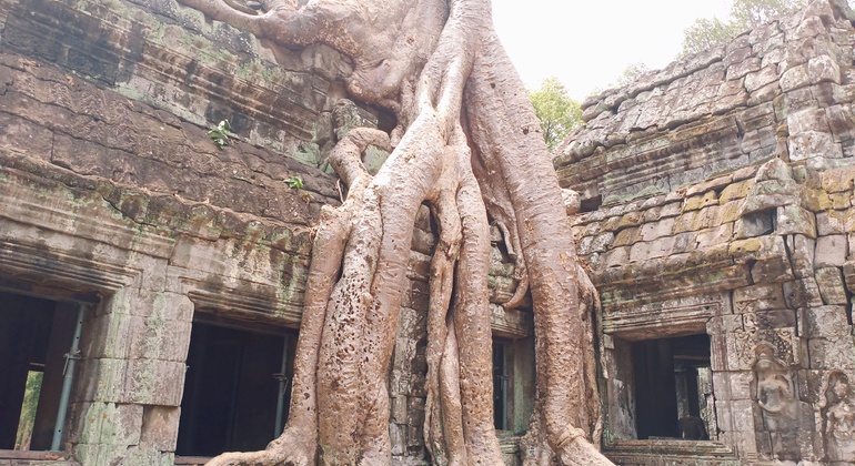 the-best-of-angkor-wat-angkor-thom-and-ta-prohm-temples-en-15