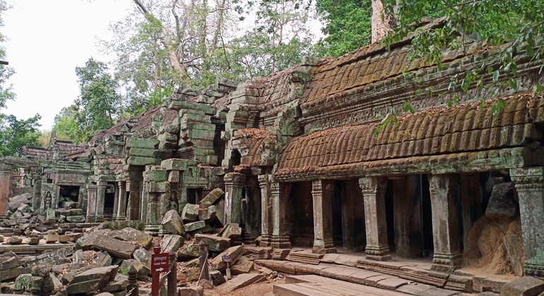 the-best-of-angkor-wat-angkor-thom-and-ta-prohm-temples-en-16