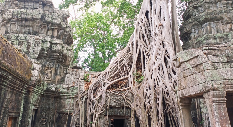 the-best-of-angkor-wat-angkor-thom-and-ta-prohm-temples-en-17