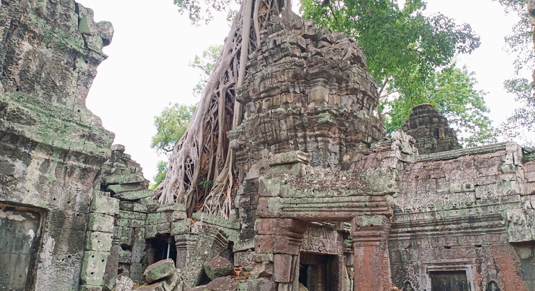 the-best-of-angkor-wat-angkor-thom-and-ta-prohm-temples-en-18