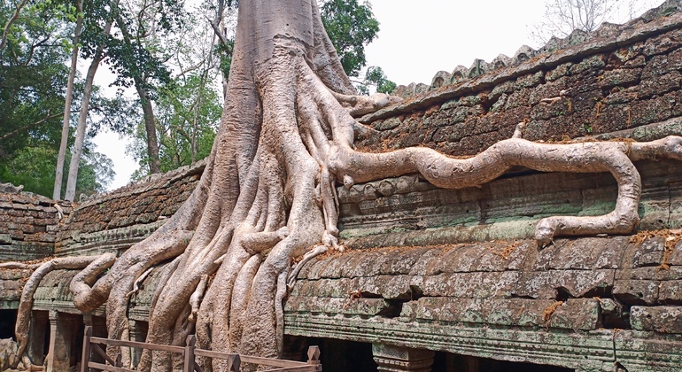 the-best-of-angkor-wat-angkor-thom-and-ta-prohm-temples-en-19