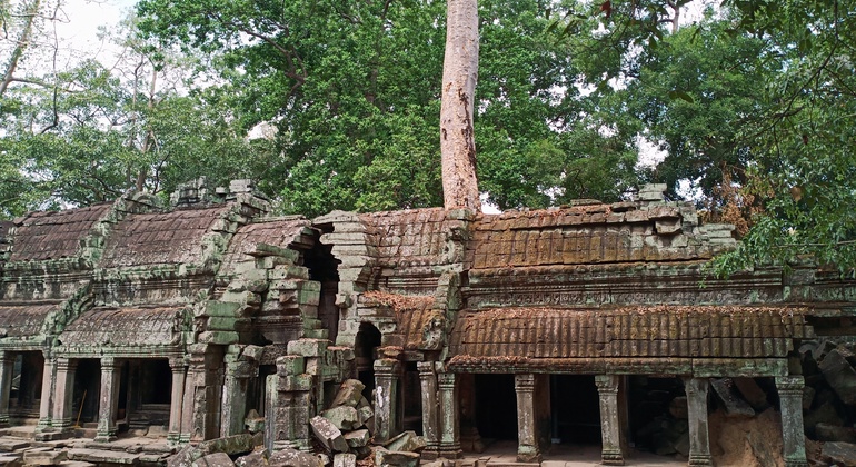 sunrise-at-angkor-wat-temple-en-19