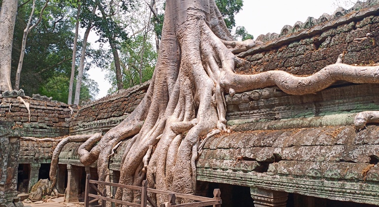 sunrise-at-angkor-wat-temple-en-24