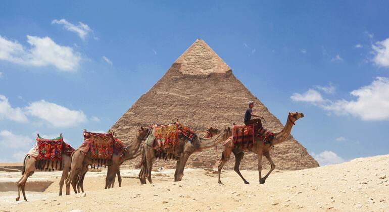 Camel Ride Tour aAround the Pyramids - Cairo | FREETOUR.com