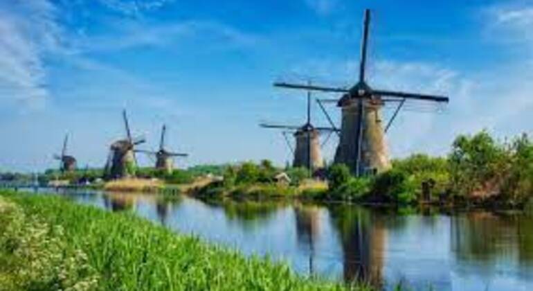 daily-walking-city-break-tour-rotterdam-and-surrounding-kinderdijk-en-9