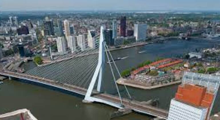 Daily Walking City-Break Tour Rotterdam & Surrounding (Kinderdijk)