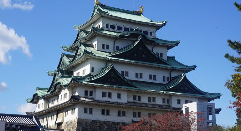 Recorrido Por La Ciudad Dorada de Nagoya