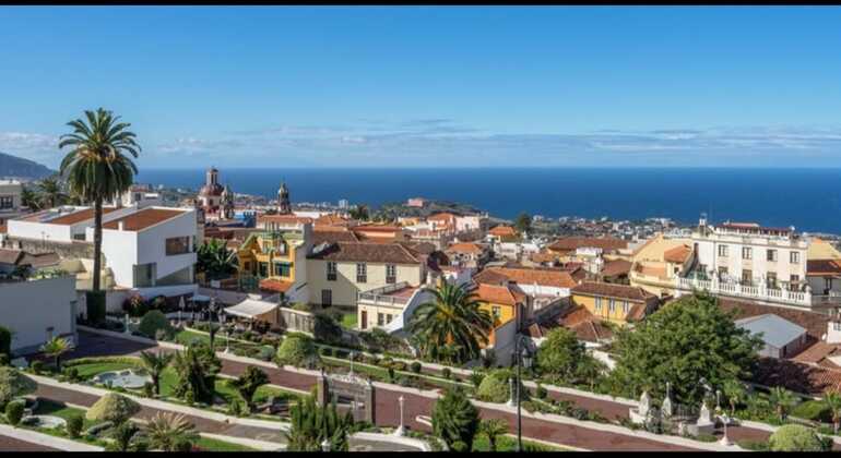 Visit to La Orotava Walking Tour