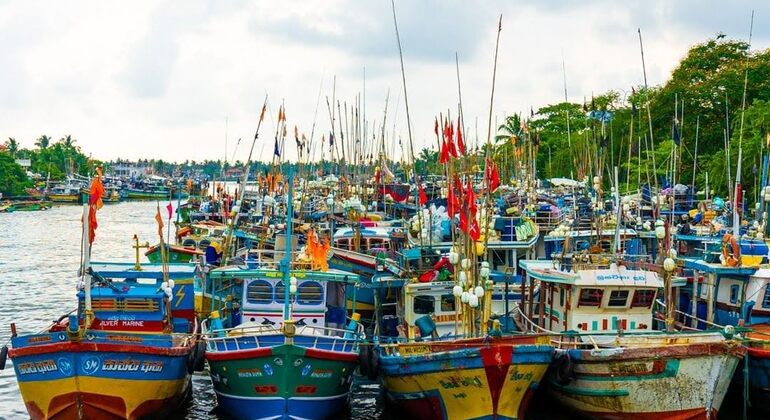 Negombo Heritage Walk - Negombo | FREETOUR.com