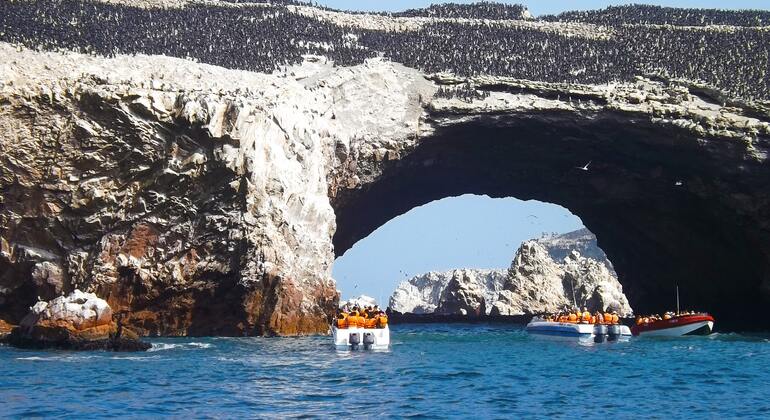 trip-to-the-beautiful-ballestas-islands-in-paracas-en-4