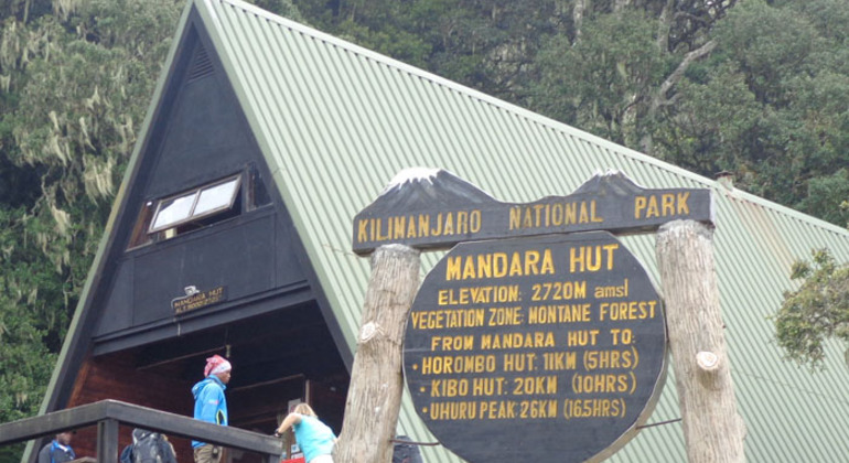 Caminhada de um dia em Marangu Kilimanjaro