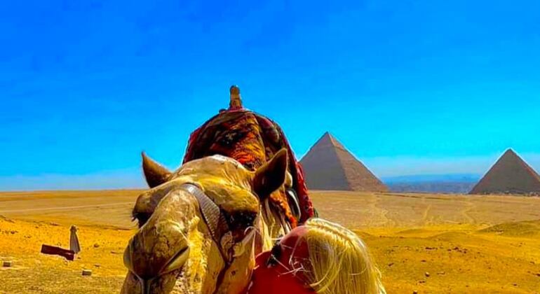 Le Caire Excursions D Une Demi Journ E Aux Pyramides De Gizeh Et Au Sphinx Cairo Freetour Com