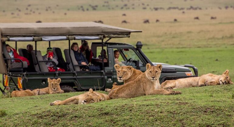 Excursión al Parque Nacional de Maasai Mara