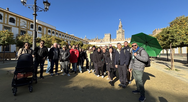 “Best of Sevilla” Walking Tour Provided by Best Of Sevilla Tour 