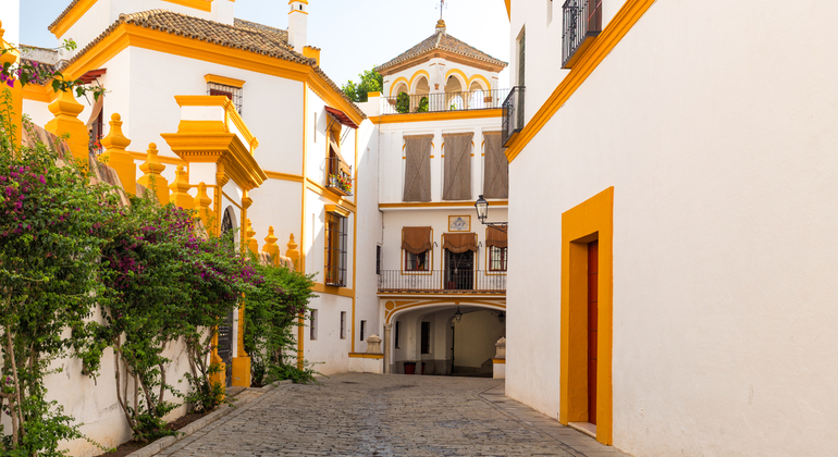 Barrio Santa Cruz Small Group Walking Guided Tour Seville