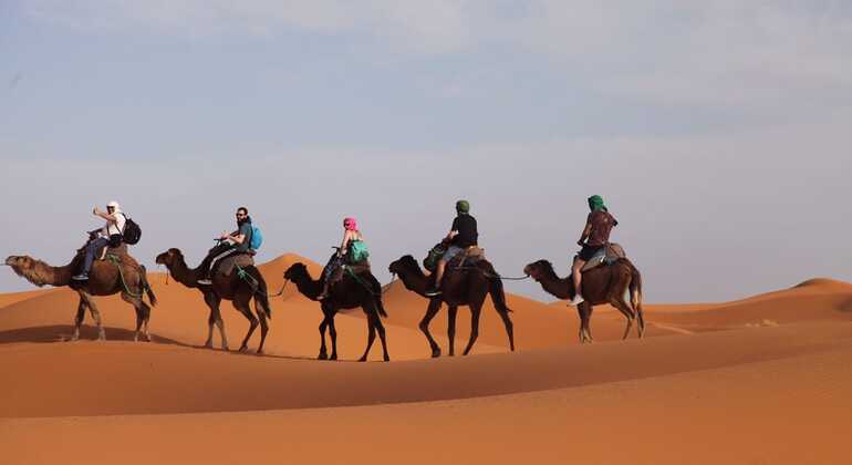 1 Night Camel Trekking Tour in Merzouga Desert Camp