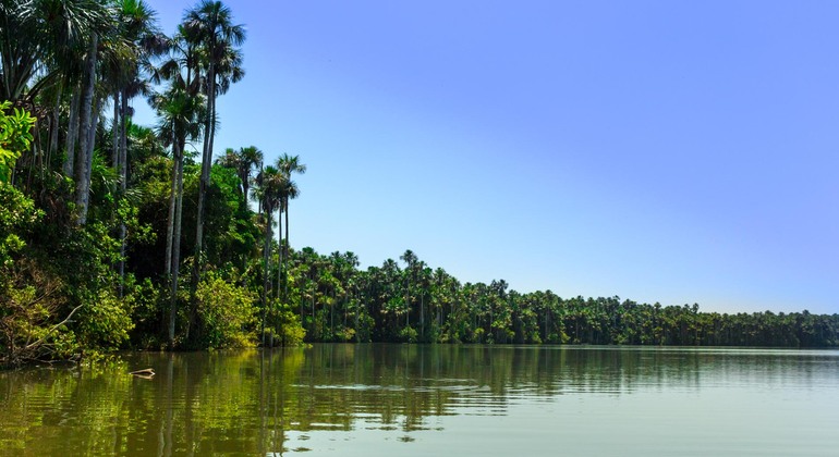 puerto-maldonado-lake-sandoval-canoeing-with-lunch-es-6