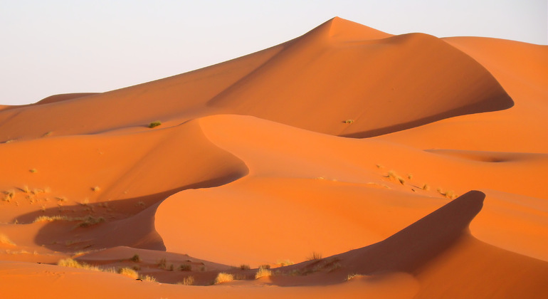 Sunset Tour in Merzouga Camel ride