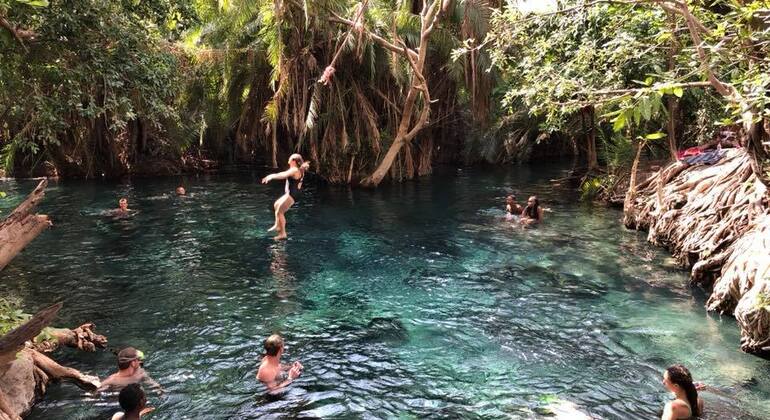 Chemka Hot Spring Day Trip - Kilimanjaro | FREETOUR.com