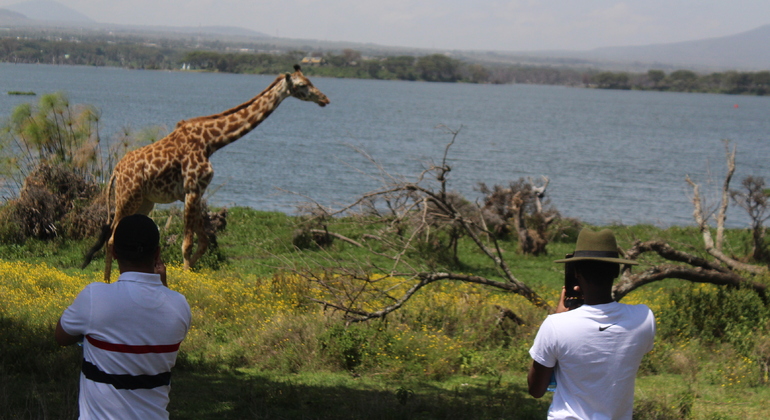 day-trip-to-hells-gate-crescent-island-and-lake-naivasha-2-es-4