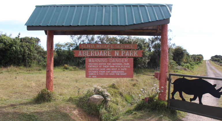 Day Trip to Aberdares National Park