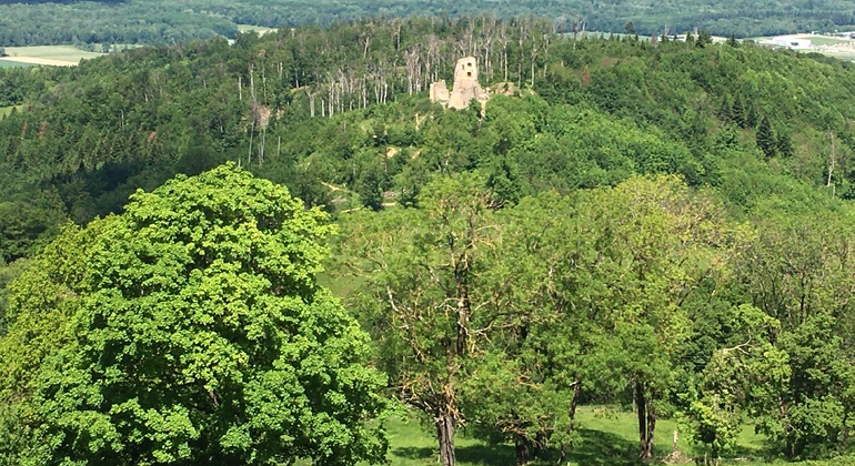 schoenberg-hiking-nature-tour-es-3