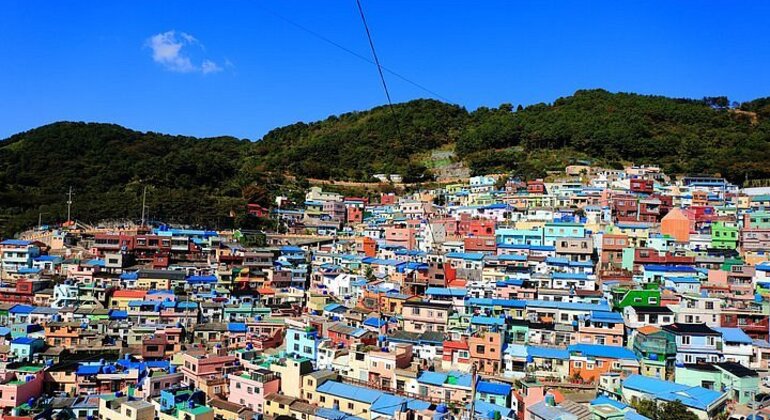 Busan Tour with Gamcheon Culture Village