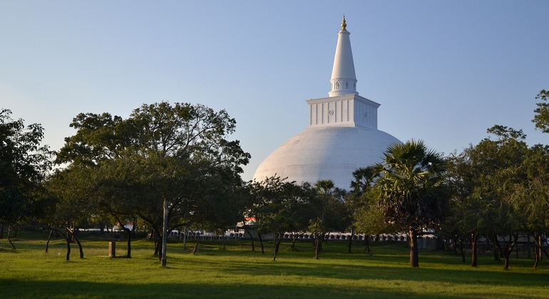 Excursion de un Dia a la Ciudad Antigua de Anuradhapura