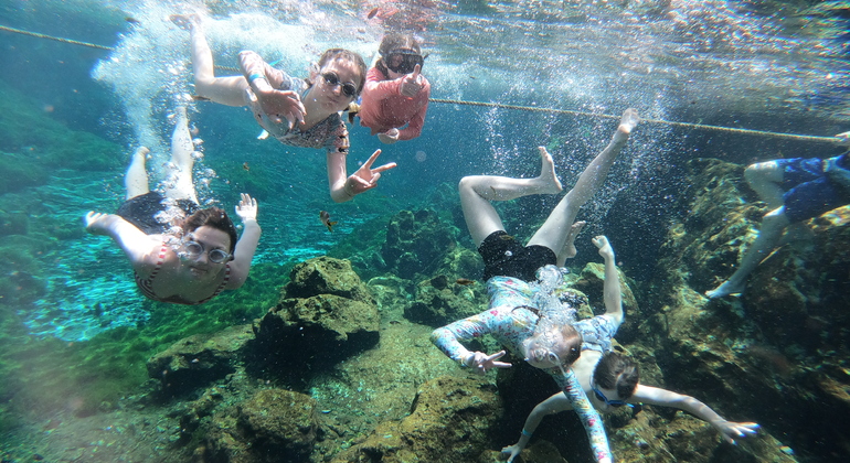 Cenotes By Bike Plus Mayan Style Cooking Tulum