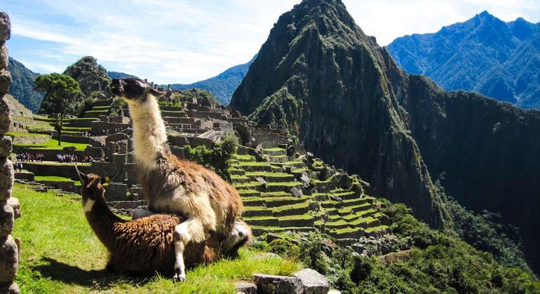 tour-a-machu-picchu-desde-cusco-full-day-en-4