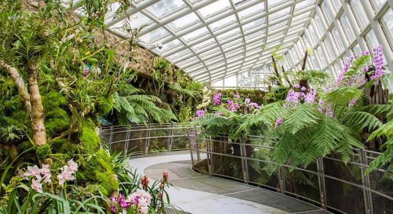 national-orchid-garden-admission-singapore-freetour