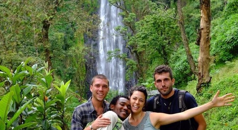 Excursión de un día a las cataratas de Materuni y al café en Moshi