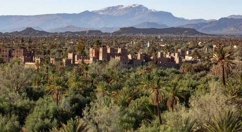 explore-ouarzazate-free-tour-en-11