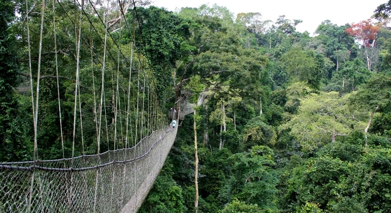 Recorrido por el Parque Nacional de Kakum y el Castillo de Cape Coast 