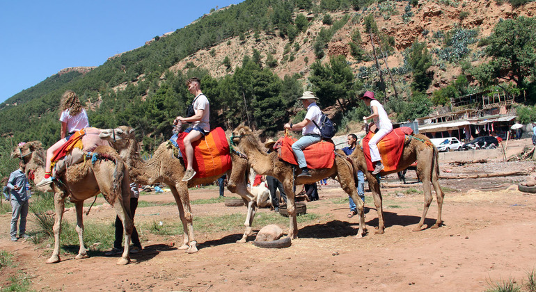 From Marrakech: Atlas Mountain & Berber Villages Day trip