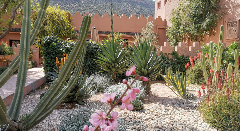 from-marrakech-atlas-mountain-berber-villages-day-trip-en-6