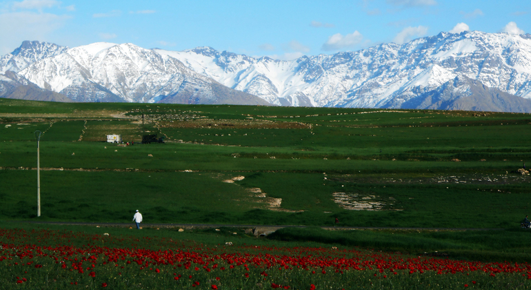 from-marrakech-atlas-mountain-berber-villages-day-trip-en-11