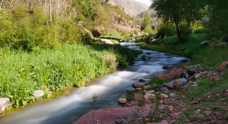 from-marrakech-atlas-mountain-berber-villages-day-trip-en-13