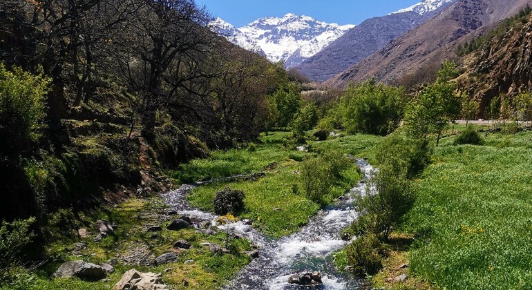 from-marrakech-atlas-mountain-berber-villages-day-trip-en-14