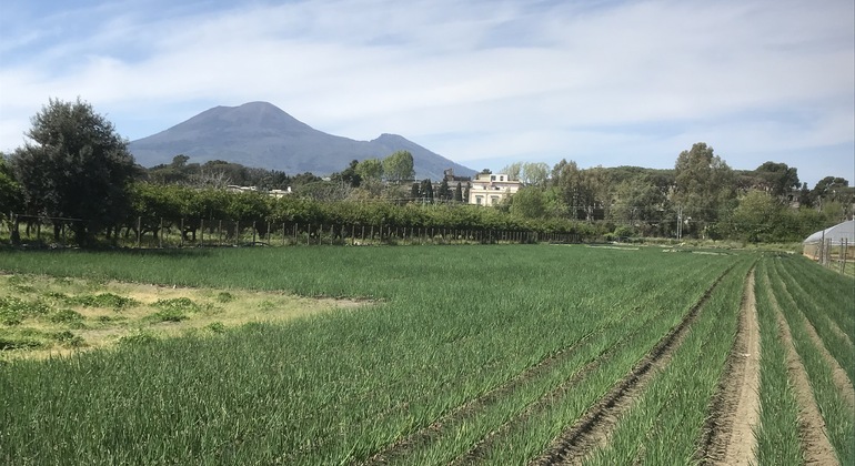 exploring-pompeii-its-ruins-en-2