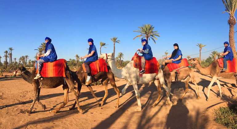 Profitez de la splendeur de la palmeraie de Marrakech.