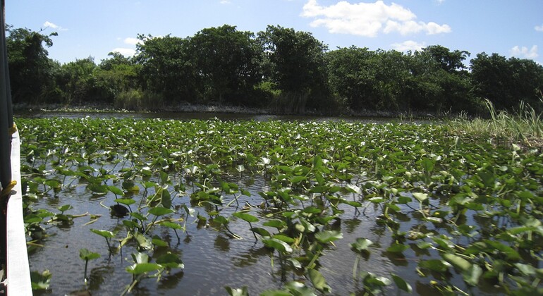 everglades-airboat-tours-transportation-es-1