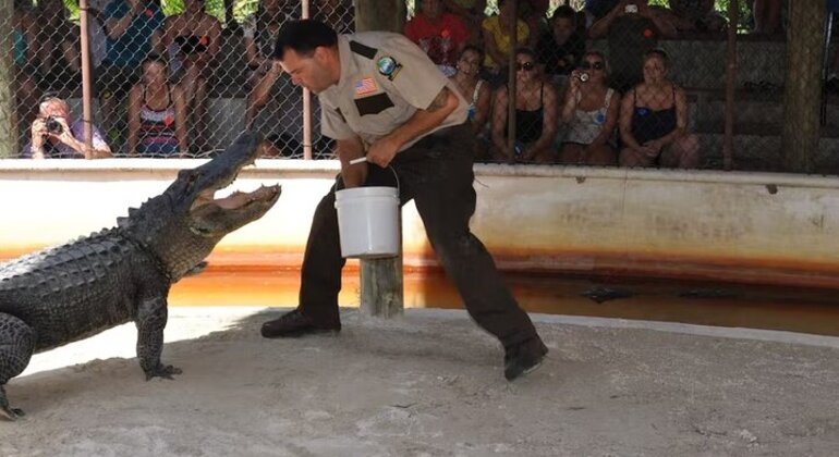 everglades-airboat-tours-transportation-es-3